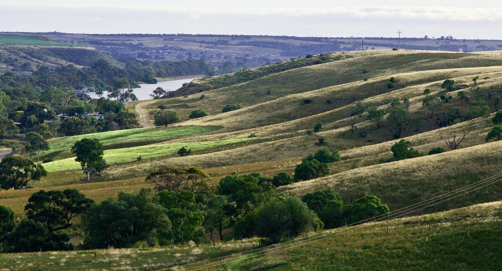 Riverview Rise Retreats Mannum Exterior photo